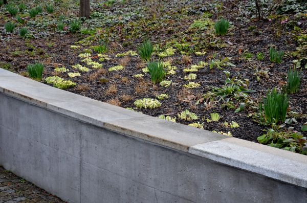Concrete Wall Construction in Hilliard
