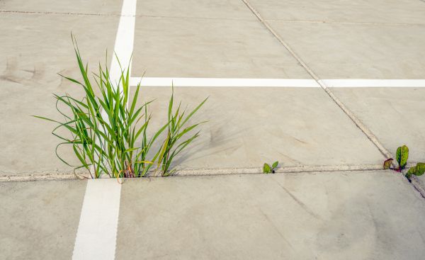 Concrete Parking Installation in Hilliard